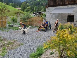 Mushing